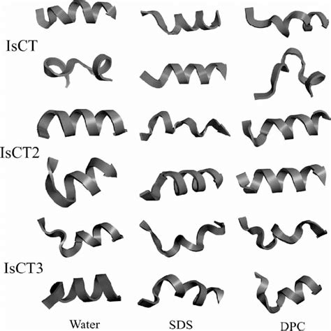 A Comparison Between The Initial Minimised Structures Of The Three