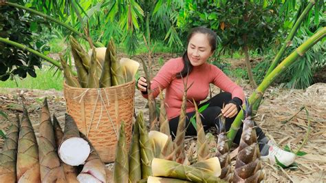 Harvest Bamboo Shoots And Bring Them To The Market Sell Gardening