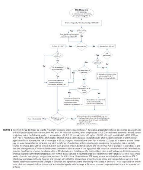 Neonatal Fever Guidelines Aap Growthcenter Continental Edu Pe