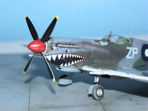 Four Eyed Shark Supermarine Spitfire Mk Viii Eduard Raaf