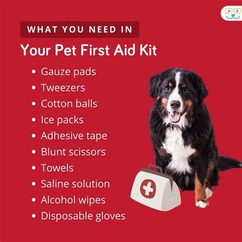 April Is Pet First Aid Awareness Month Would You Be Prepared In Case