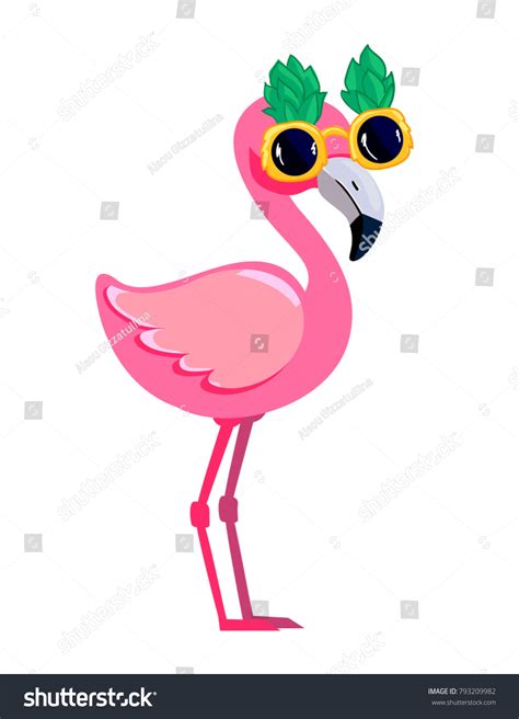 Cartoon Flamingo Drawing Images Stock Photos Vectors