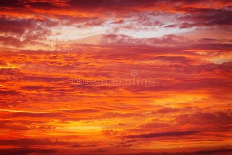 Bright Orange, Red And Yellow Colors Sunset Sky. Stock Photo - Image ...