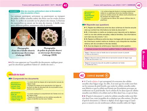 Annales Du Brevet Annabrevet Sciences Physique Chimie Svt