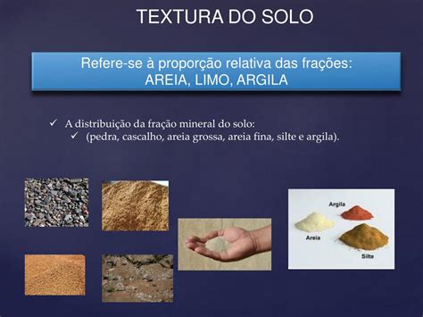 Ppt Prof Dr Corlett F M F Textura E Estrutura Do Solo Powerpoint