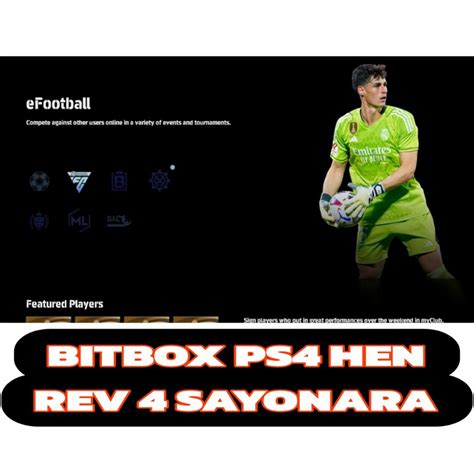 Jual PS4 HEN BITBOX PATCH SUMMER 2024 Datapack 4 Sayonara Shopee