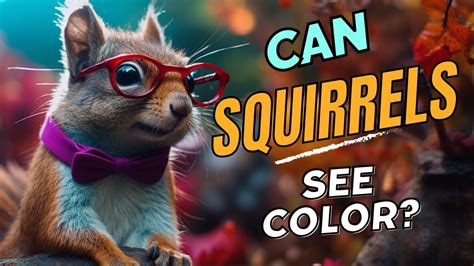 Can Squirrels See Color Their Unique Visual Experience Youtube