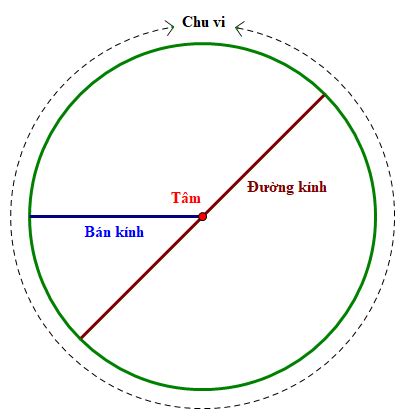 Bán Kính trong Tiếng Anh là gì Định Nghĩa Ví Dụ Anh Việt