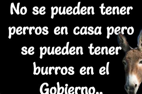 Frases De Burro Reflexiones Humor Y Sabidur A Citasdelibros