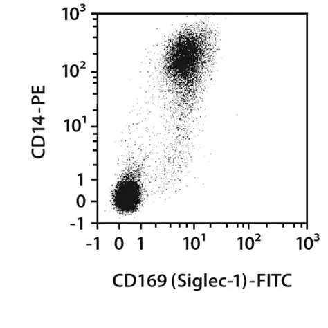 Cd169 Siglec 1 Antibody Anti Human Miltenyi Biotec Usa