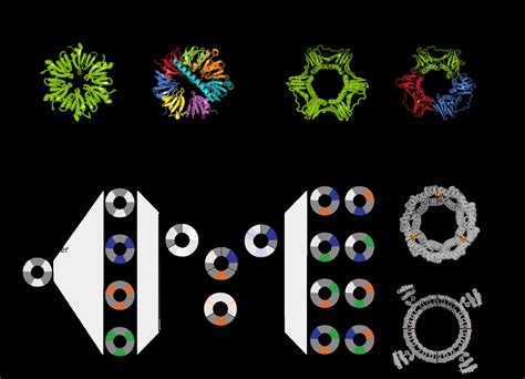 Overview of pseudosymmetic recombination design approach. (a) Two ...