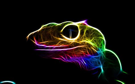 Gecko Wallpapers - Top Free Gecko Backgrounds - WallpaperAccess