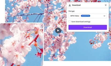 Измените размер видео онлайн без потери качества с видеоредактором Canva
