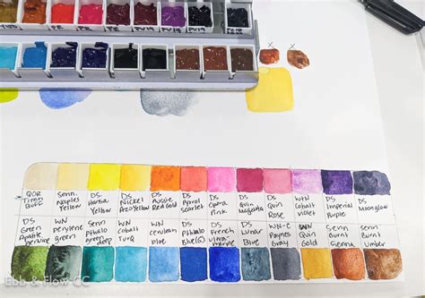 How to Fill Watercolor Pans from Tubes - Ebb and Flow Creative Co