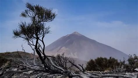 Incendio Tenerife Ltima Hora El Incendio De Tenerife Baja De Nivel Y