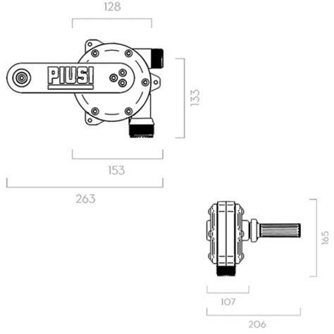 Piusi Hand Pump Kit 2″ Bsp Mastrapumps