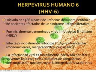 Herpesvirus Humano Y Ppt