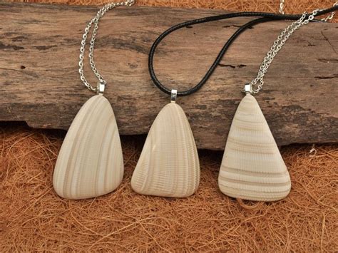 SHELL PENDANT Seashell Fragment Necklace Natural Shell Etsy