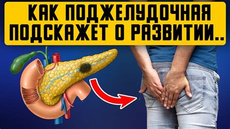 Доктор признался: заболевание поджелудочной достаточно просто ...