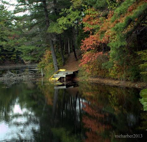 Raccoon Lake Information