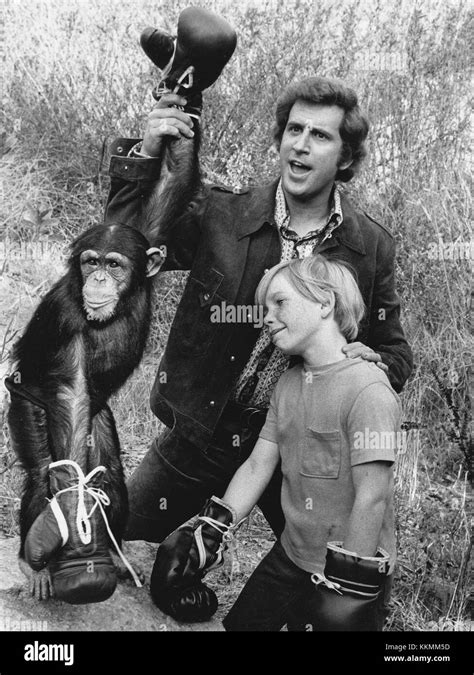 Me And The Chimp Ted Bessell Scott Kolden Buttons Stock Photo Alamy