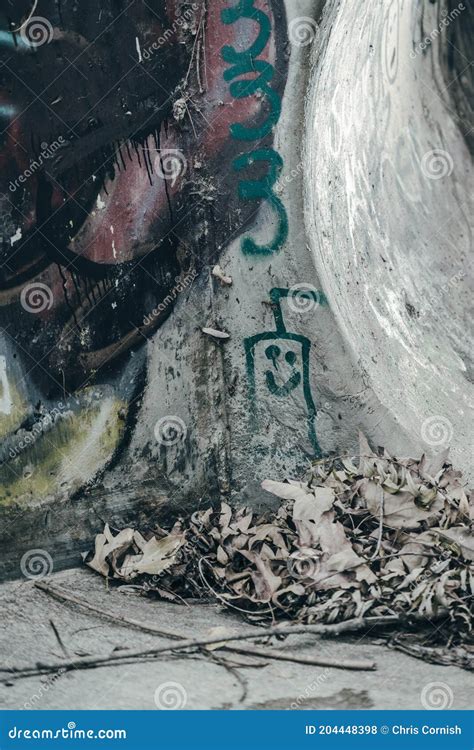 Graffiti Sewers Stock Photo Image Of Environmental 204448398