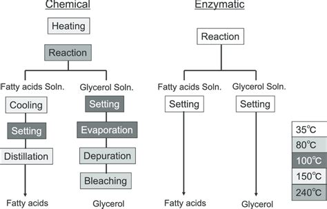 Comparison Between Chemical And Enzymatic Fats Hydrolysis 1