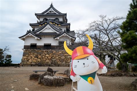 【1日で巡る！】滋賀県のお城巡り完全攻略ガイド（彦根城~小谷城~安土城~観音寺城~鎌刃城~八幡山城）｜日本の名城com