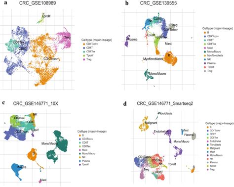 The Infiltration Level Of Major Lineage Immune Cells In Crc Gse Sc Seq