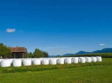 Silage Wrap: The Benefits of Silage Wrap - IHERP Australia