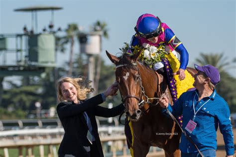 Just Fyi Awarded 2yo Filly Eclipse Champion — Margaux Farm