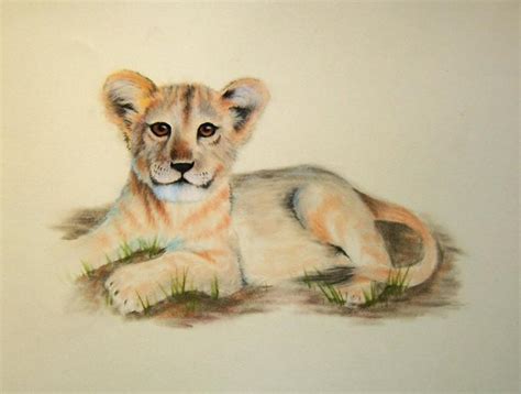 Lion And Cub Drawing at PaintingValley.com | Explore collection of Lion ...