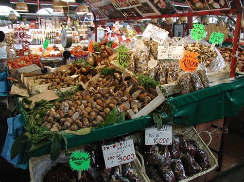 Wild Mushroom Soup With Chicken Camille Cooks For You