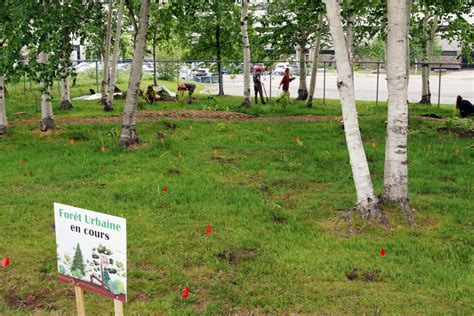 Plantation d une micro forêt urbaine une collaboration CFP Alma et