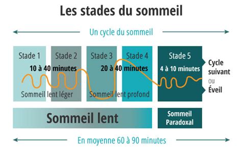 Le Sommeil Indispensable Au Bon Quilibre De Lorganisme