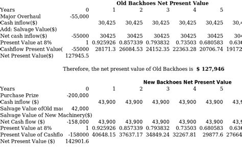 Shoals Corporation S Net Present Value Analysis Free Essay Example