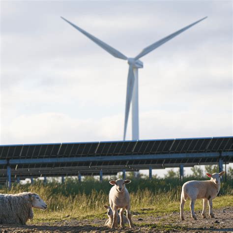 European Energy's story | Impero - Compliance. Simplified.