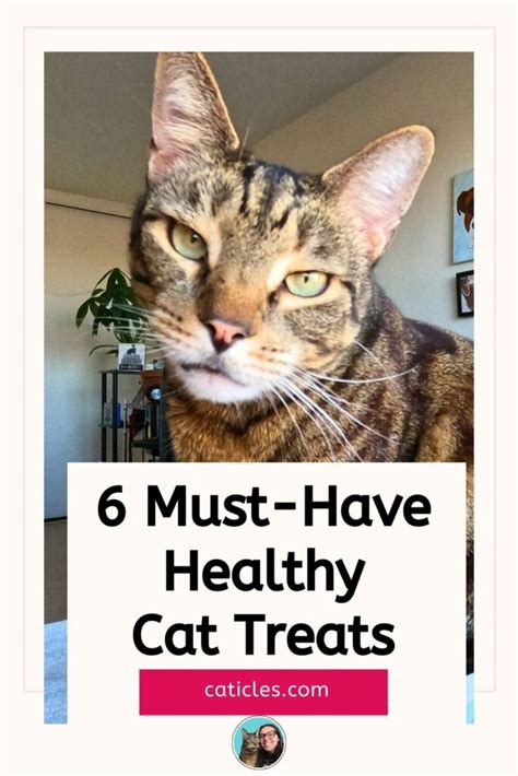 Healthy cat treats that are actually appropriate for cats - Caticles