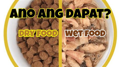 Ano Ba Ang Mas Magandang Ipakain Sa Pusa Wet Food VS Dry Food