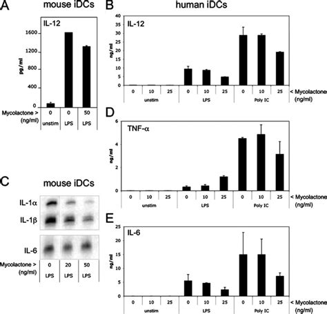 Mycolactone Treated DCs Only Moderately Alter The Expression Of