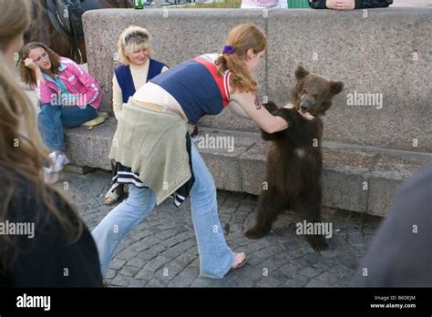 Russia, Saint Petersburg, Young brown bear used as attraction Stock ...