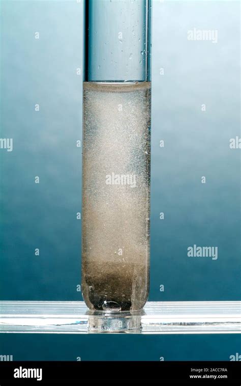 Iron Sulphide In Hydrochloric Acid Image 4 Of 4 Iron Sulphide Reacts With Hydrochloric Acid To