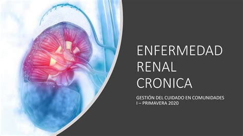 Solution Enfermedad Renal Cronica Studypool