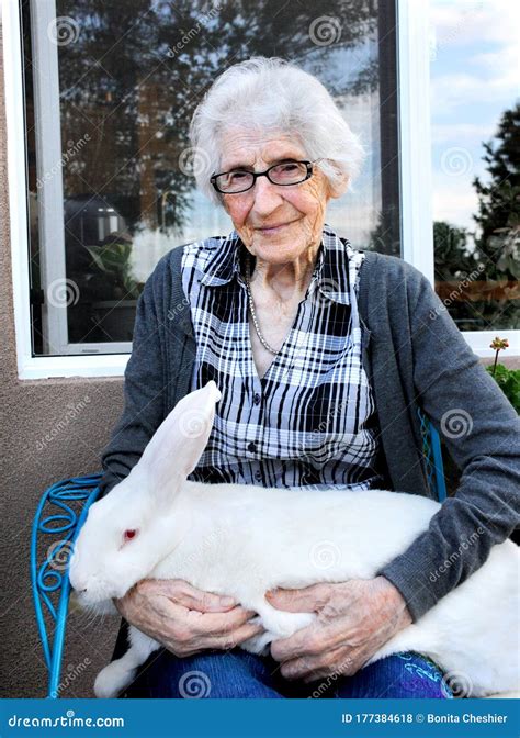 White Flemish Giant Rabbit