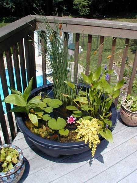 Lockdown Day 8 Set Up An Amazing Balcony Pond Today With These Tips