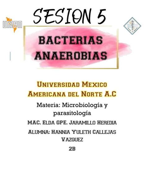 Bacterias Anaerobias Hannia Callejas Udocz