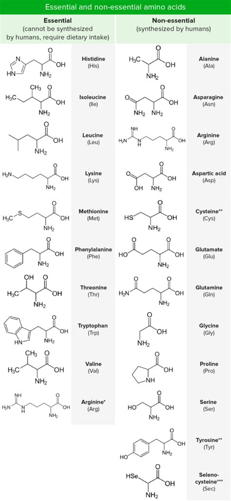 Basics Of Amino Acids Concise Medical Knowledge