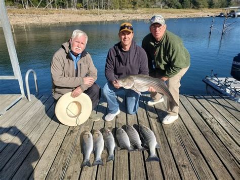 Beaver Lake Striped Bass Fishing Report Guided Striper