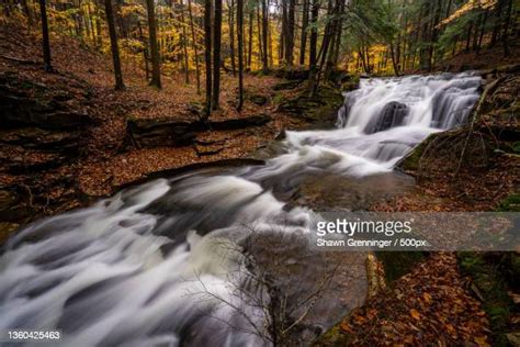 77 Loyalsock State Forest Stock Photos, High-Res Pictures, and Images ...