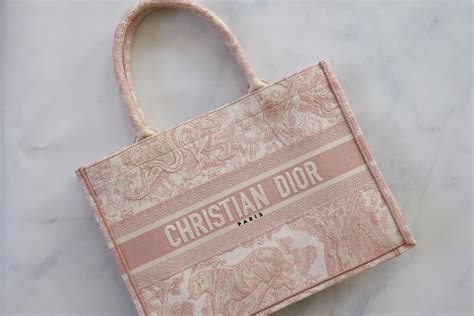 Christian Dior Book Tote Small Pink New In Dustbag Julia Rose Boston Shop